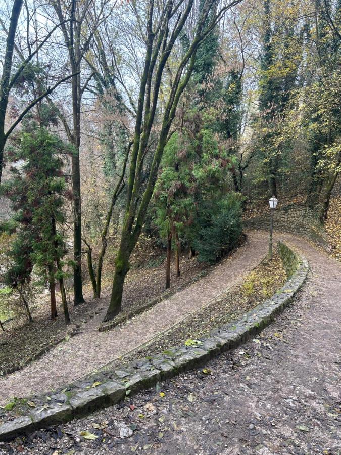 Historic Center-Lovely Nature Zagreb Exterior photo